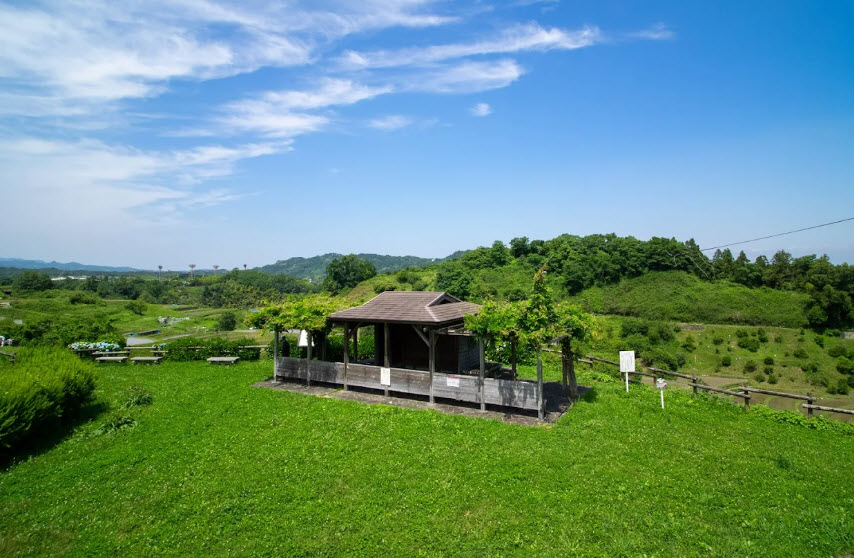 Shimo Akasaka Castle Ruins, Japan